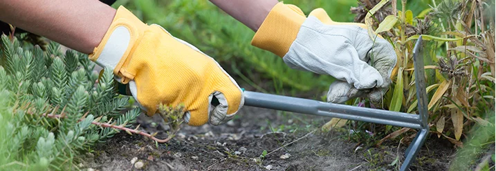 Person jätet Unkraut mit Hacke